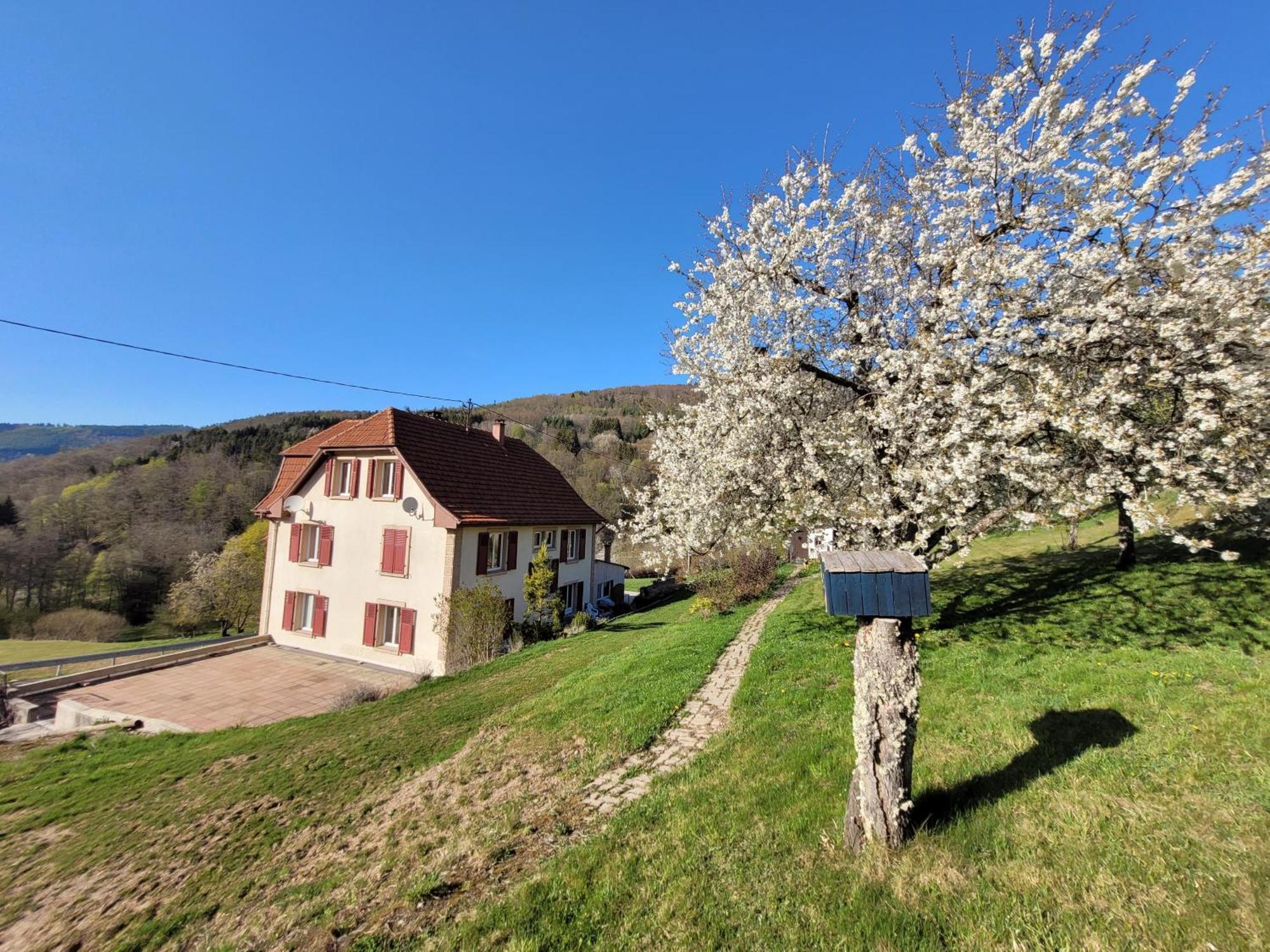 Willa Domaine De La Charriere Sur 63 Ares - 8 Pers Grand Confort Neuviller Zewnętrze zdjęcie